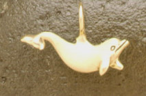 Dolphins: Small Dolphin 14k