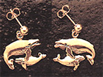 Whales: Humpback Cow & Calf Earrings 14k