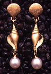 Shells: Clam&Triton Shell Earrngs w/ Pearl 14k