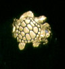 Turtles: Sea Turtle Ring 14k