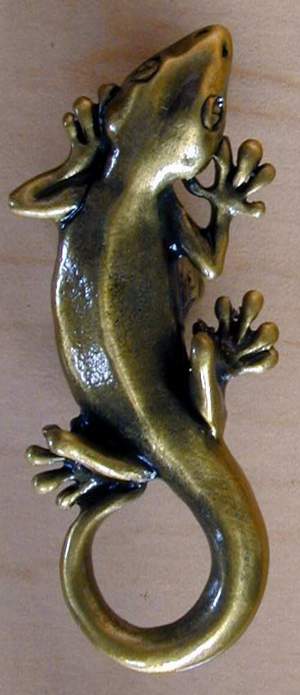 Gecko Knob brass finish