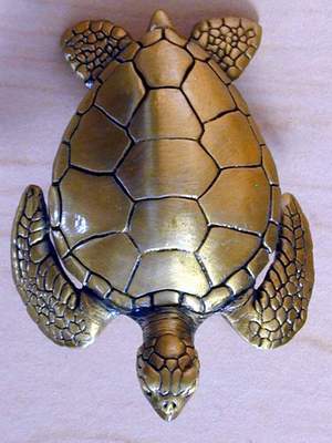 Turtles: Sea Turtle Knob brass finish
