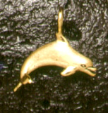 Dolphins: Small 3D Dolphin 14k