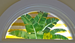 Custom Kitchen Banana Plant Windows
