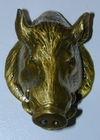 Boar Head Knob Brass finish
