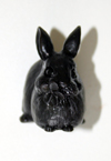 Bunny Rabbit Knob Oiled Bronze finish