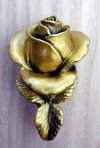 Rose Knob brass color finish