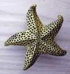 Starfish Knob  brass colored pewter