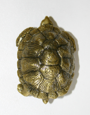 Tortoise Knob brass finish