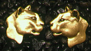 Cougars: Puma Earrings 14k
