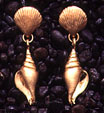 Shells: Clam & Triton Shell Earrings 14k