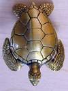 Turtles: Sea Turtle Knob brass finish