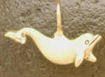 Dolphins: Small Dolphin 14k