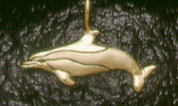 Dolphins: Spinner Dolphin 14k