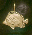 Fish: Tinkers Butterfly Fish 14k